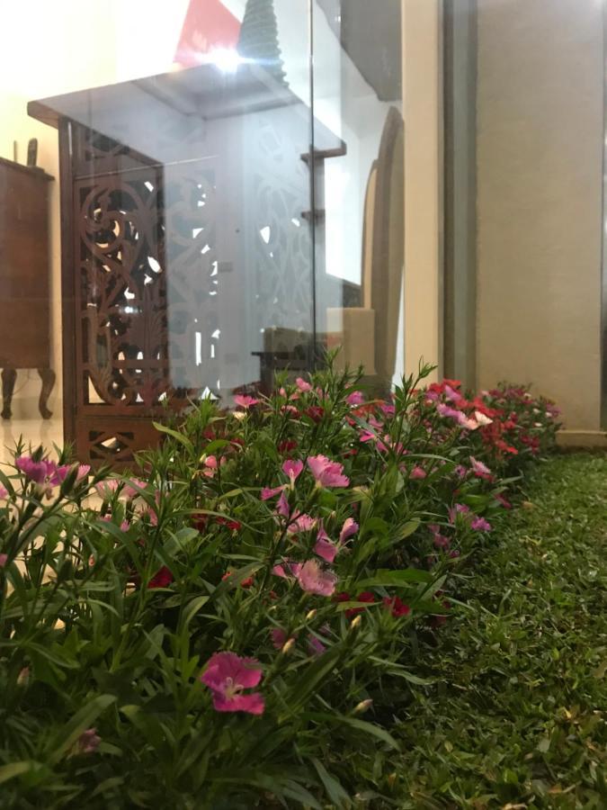 Ivy Bungalow Nuwara Eliya Eksteriør billede