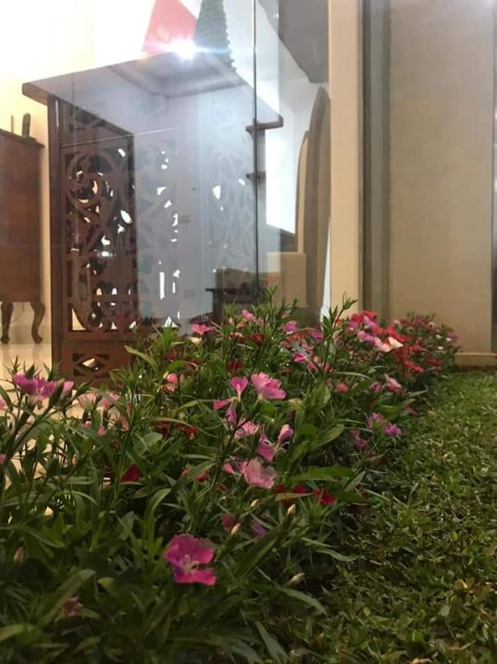 Ivy Bungalow Nuwara Eliya Eksteriør billede